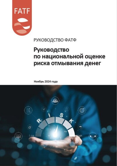Руководство по национальной оценке риска отмывания денег