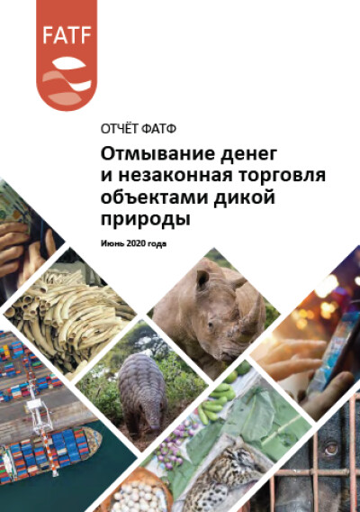 Отчёт ФАТФ. Отмывание денег и незаконная торговля объектами дикой природы