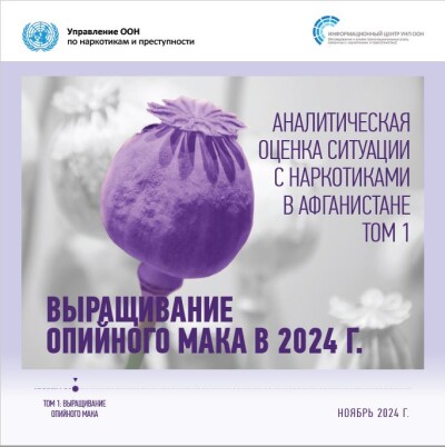 УНП ООН. Аналитическая оценка ситуации с наркотиками в Афганистане. Том 1.